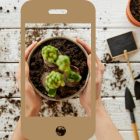 11 Best Gardening Apps for iOS and Android in 2023