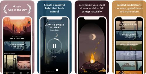 Wellbeing apps Wild Journey - Nature Sounds