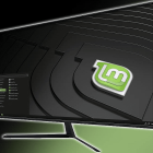 Linux Mint: How to Disable Minor Animations for Improved Performance