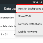 Android: Enable or Disable Background Data
