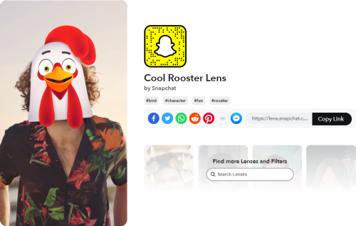 Snapchat Lenses Cool Rooster Lens